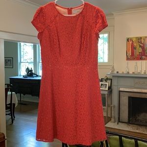 Loft lace dress